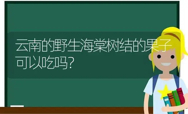 云南的野生海棠树结的果子可以吃吗？ | 绿植常识