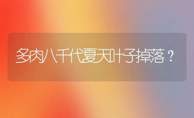 多肉八千代夏天叶子掉落？ | 多肉养殖