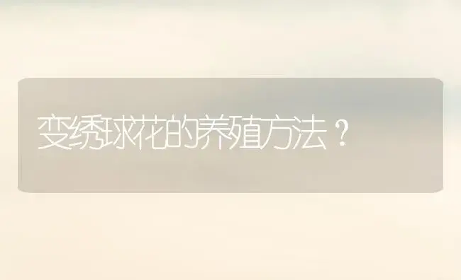 变绣球花的养殖方法？ | 绿植常识