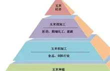 玉米深加工介绍