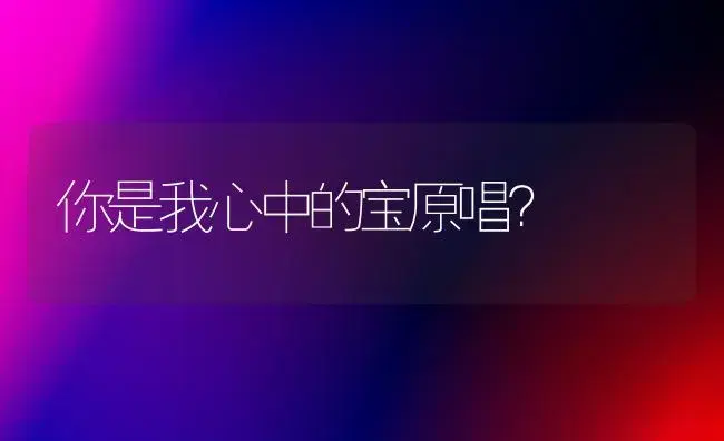 你是我心中的宝原唱？ | 多肉养殖