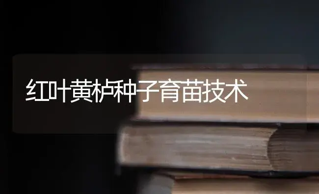 红叶黄栌种子育苗技术 | 特种种植