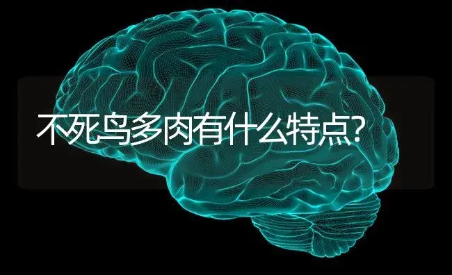 不死鸟多肉有什么特点？ | 多肉养殖