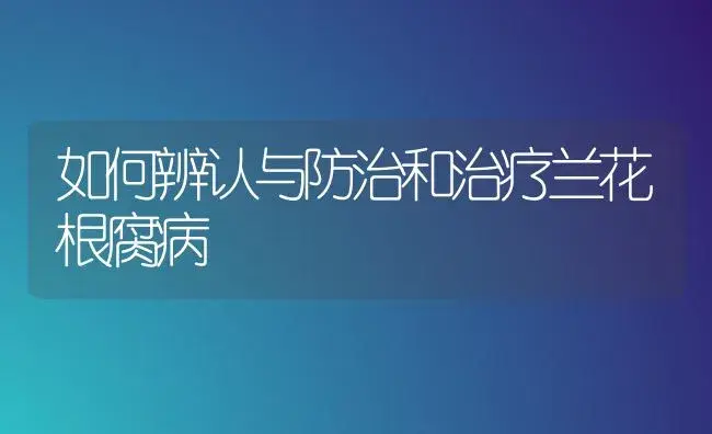 如何辨认与防治和治疗兰花根腐病 | 家庭养花