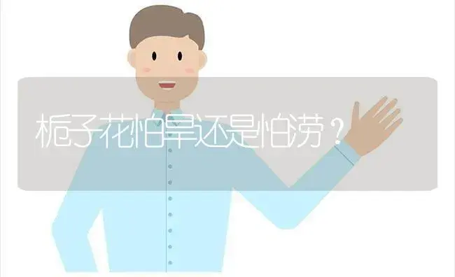 月季修枝什么时候最好？ | 绿植常识