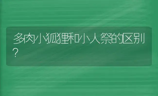 多肉小狐狸和小人祭的区别？ | 多肉养殖