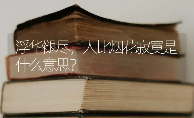 浮华褪尽，人比烟花寂寞是什么意思？ | 绿植常识