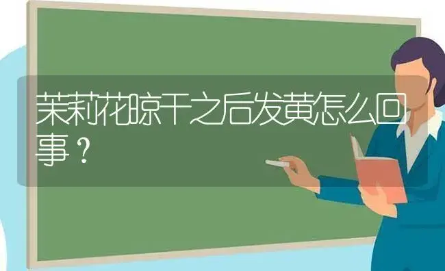 茉莉花晾干之后发黄怎么回事？ | 绿植常识