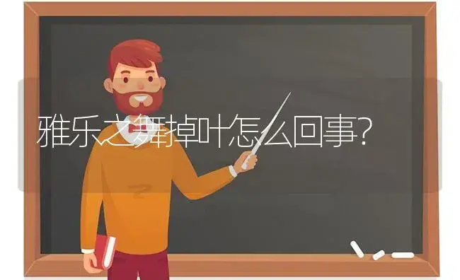 雅乐之舞掉叶怎么回事？ | 多肉养殖