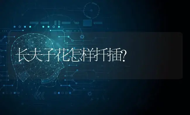 长夫子花怎样扦插？ | 多肉养殖