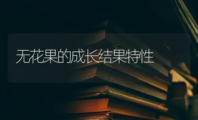 无花果的成长结果特性 | 特种种植