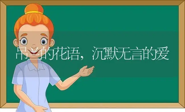 吊兰的花语，沉默无言的爱 | 绿植寓意