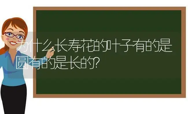 为什么长寿花的叶子有的是圆有的是长的？ | 多肉养殖