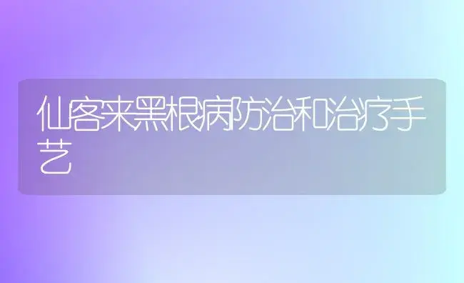 仙客来黑根病防治和治疗手艺 | 家庭养花