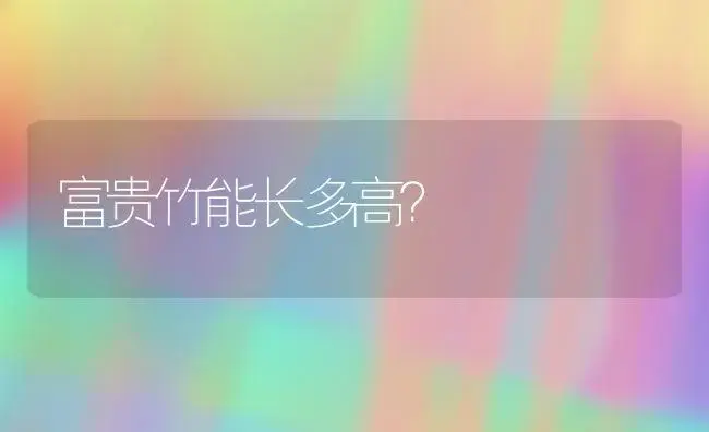 富贵竹能长多高？ | 家庭养花