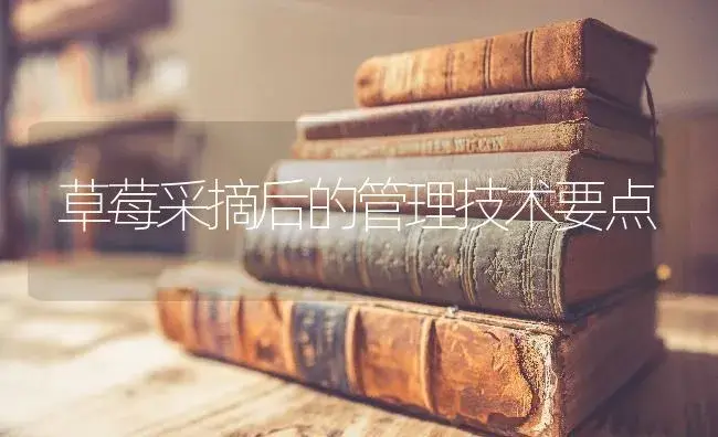 草莓采摘后的管理技术要点 | 特种种植