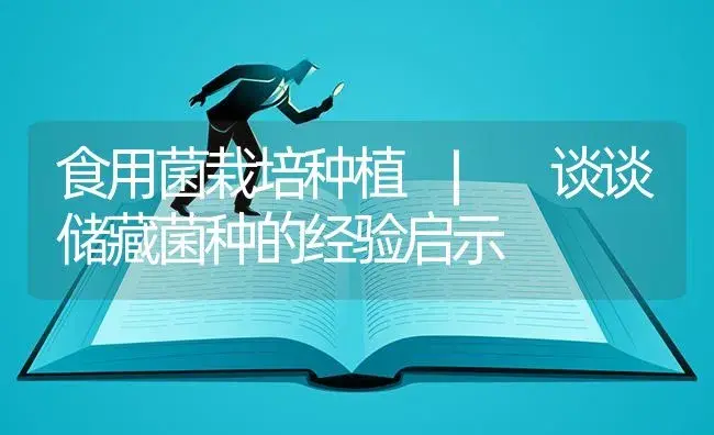 谈谈储藏菌种的经验启示 | 菌菇种植