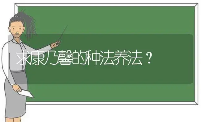 求康乃馨的种法养法？ | 绿植常识