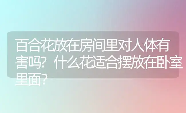 百合花放在房间里对人体有害吗?什么花适合摆放在卧室里面？ | 绿植常识