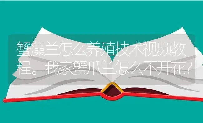 蟹藻兰怎么养殖技术视频教程。我家蟹爪兰怎么不开花？ | 多肉养殖