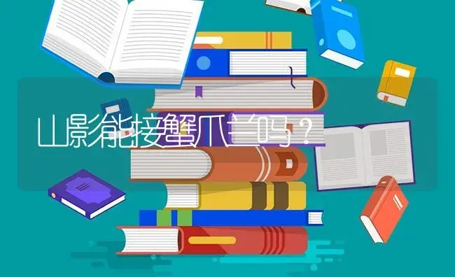 山影能接蟹爪兰吗？ | 多肉养殖