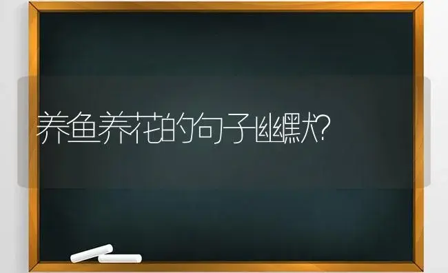 养鱼养花的句子幽默？ | 绿植常识