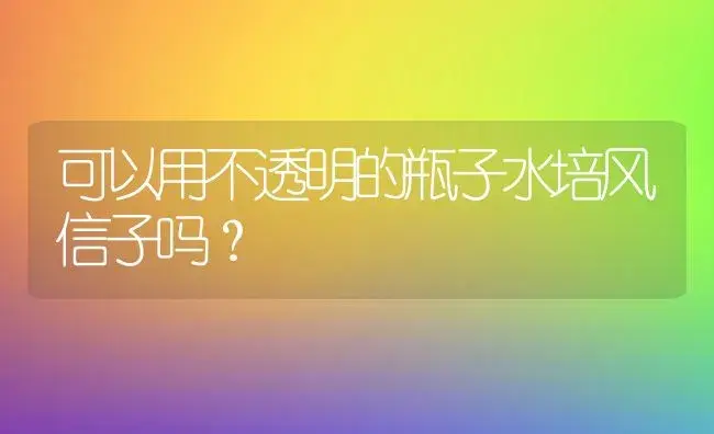 可以用不透明的瓶子水培风信子吗？ | 绿植常识