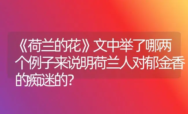 《荷兰的花》文中举了哪两个例子来说明荷兰人对郁金香的痴迷的？ | 绿植常识