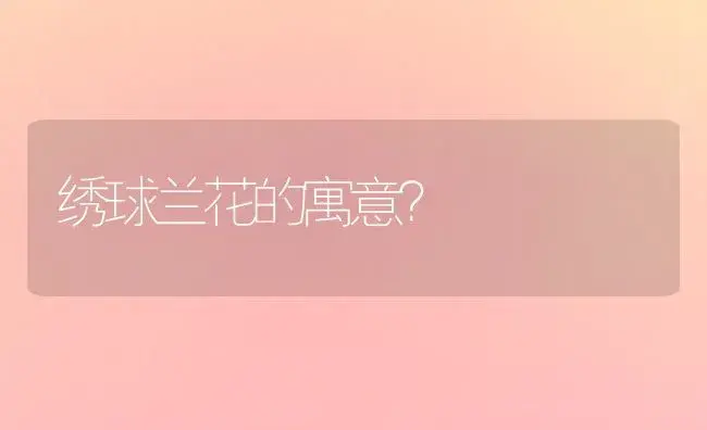 绣球兰花的寓意？ | 绿植常识