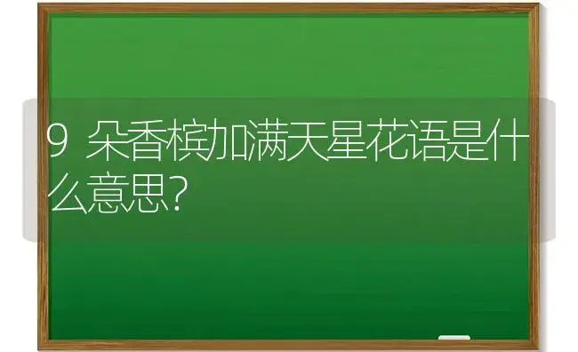 9朵香槟加满天星花语是什么意思？ | 绿植常识