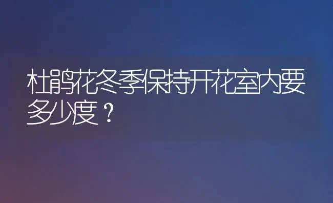 杜鹃花冬季保持开花室内要多少度？ | 绿植常识