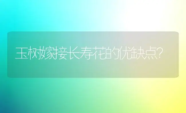 玉树嫁接长寿花的优缺点？ | 多肉养殖