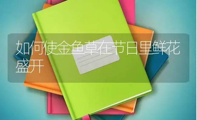 如何使金鱼草在节日里鲜花盛开 | 特种种植