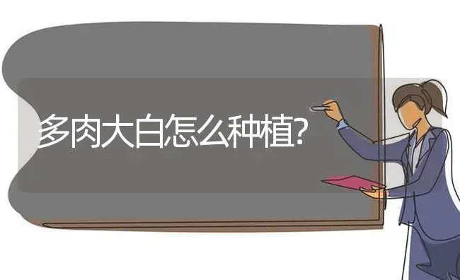 多肉大白怎么种植？ | 多肉养殖