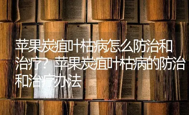 苹果炭疽叶枯病怎么防治和治疗？苹果炭疽叶枯病的防治和治疗办法 | 果木种植