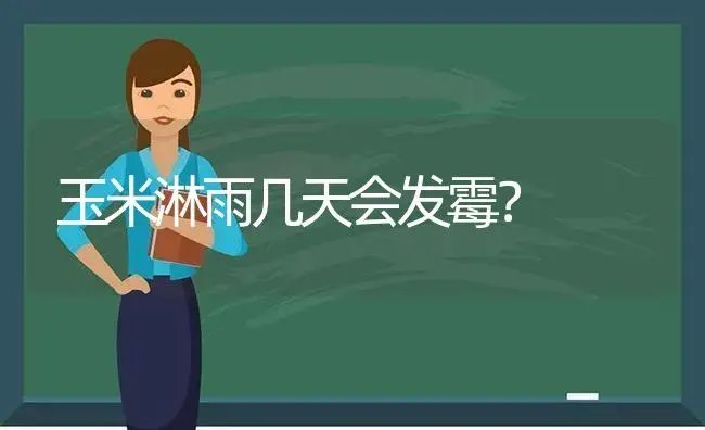 玉米淋雨几天会发霉？ | 多肉养殖