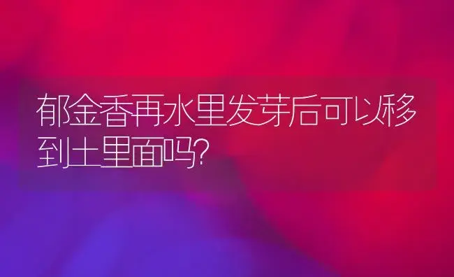 郁金香再水里发芽后可以移到土里面吗？ | 绿植常识