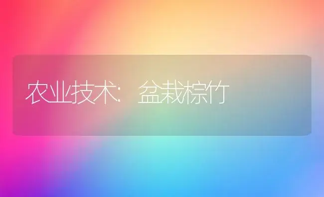 农业技术:盆栽棕竹 | 家庭养花