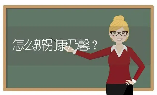 怎么辨别康乃馨？ | 绿植常识