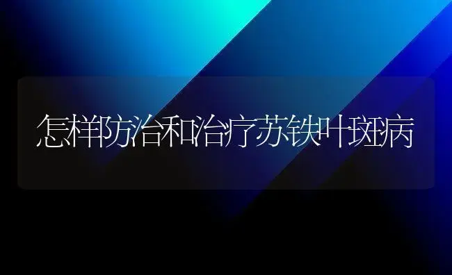 怎样防治和治疗苏铁叶斑病 | 家庭养花