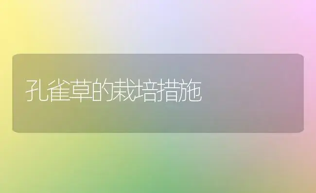 孔雀草的栽培措施 | 家庭养花