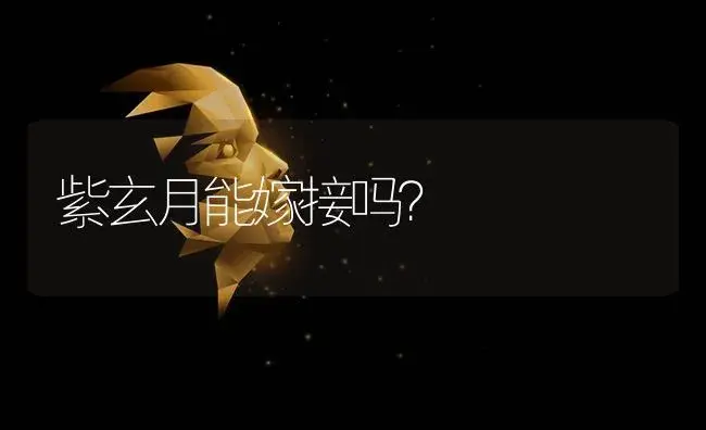 怎么样让雅乐之舞长出侧枝？ | 多肉养殖