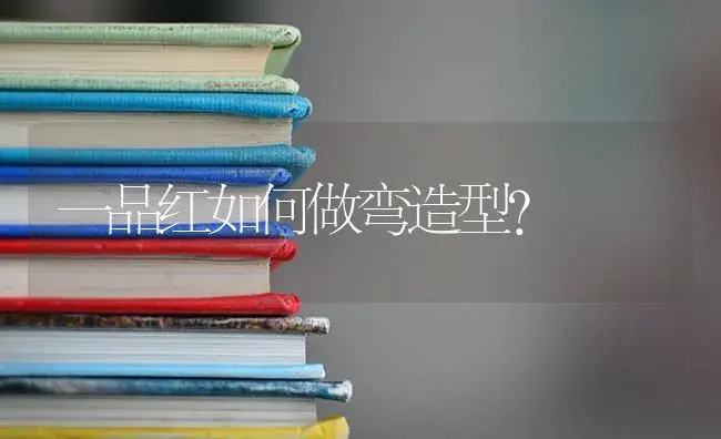 一品红如何做弯造型? | 特种种植