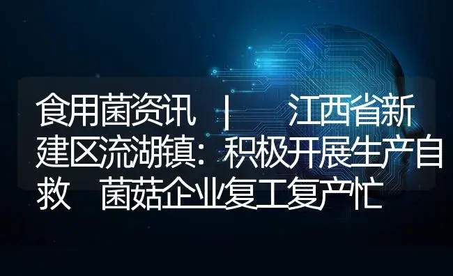 江西省新建区流湖镇：积极开展生产自救 菌菇企业复工复产忙 | 菌菇种植