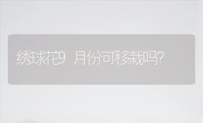 绣球花9月份可移栽吗？ | 绿植常识