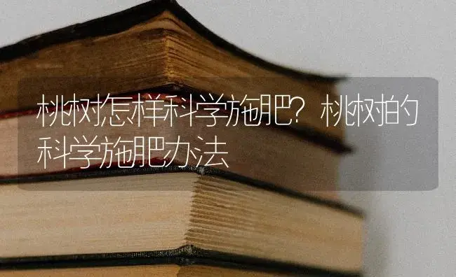 桃树怎样科学施肥？桃树的科学施肥办法 | 果木种植