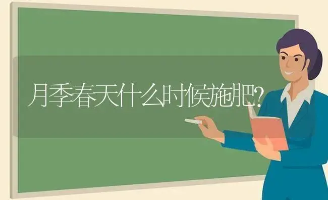 月季春天什么时候施肥？ | 绿植常识