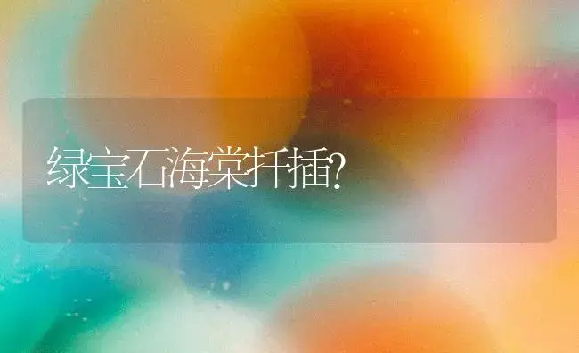 绿宝石海棠扦插？ | 绿植常识