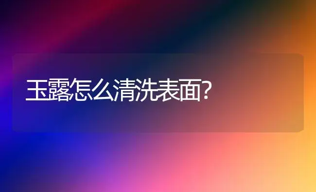 玉露怎么清洗表面？ | 多肉养殖