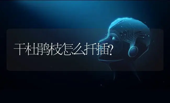 干杜鹃枝怎么扦插？ | 绿植常识